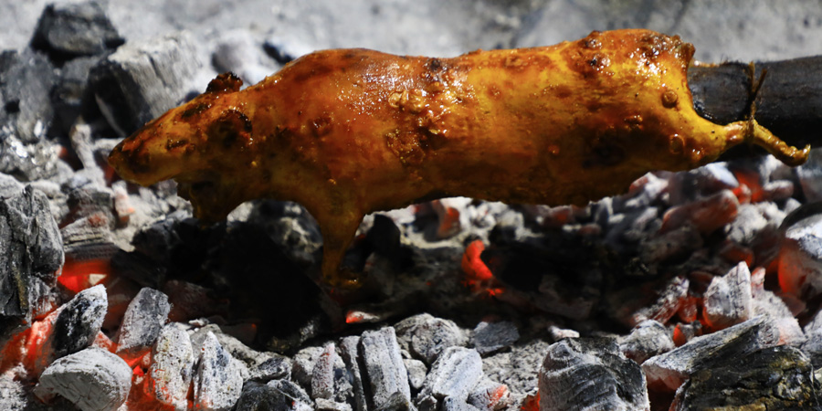 Cuy asado al carbón