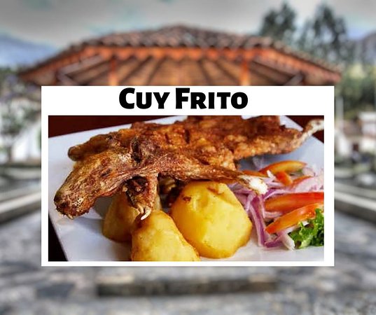 Cuy frito