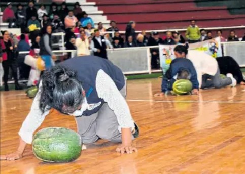 La carrera del zambo (calabaza)