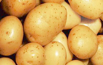 La papa es el tesoro nutritivo que revolucionará tu salud