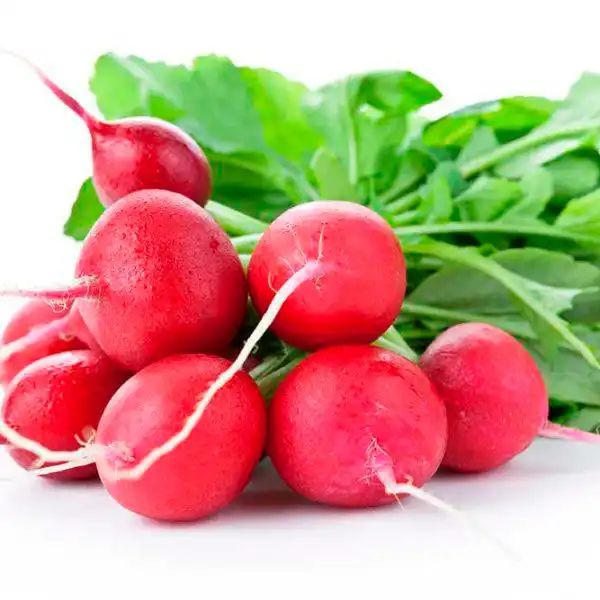 Descubre por qué el rábano puede transformar tu salud